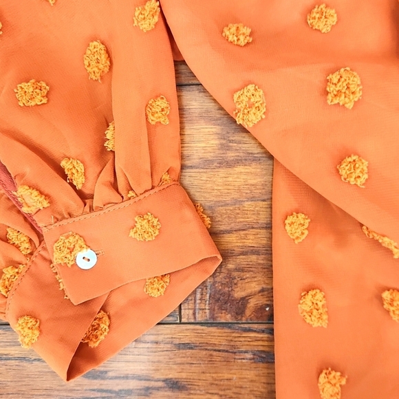 Zenobia Sheer Polka Dot Blouse - Picture 3 of 4